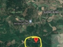BÁN ĐẤT rừng sản xuất Ninh Tây,Ninh Hòa. Tổng diện tích hơn 26ha