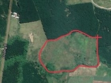 Cần ra nhanh lô rẫy Suối Sâu-Ninh Tân view suối cực đẹp