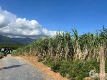 Bán đất xã Ninh Tây TX Ninh Hoà. Đường bt rộng 3,5m