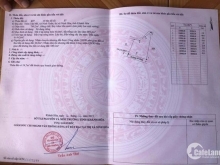 Bán 2 lô đất 2 mặt tiền đường bê tông Thôn Tân Mỹ Ninh Xuân