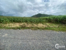 Kẹt tiền bán lô đất CLN Ninh Tây quá rẻ