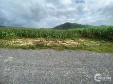 Kẹt tiền bán lô đất CLN Ninh Tây quá rẻ