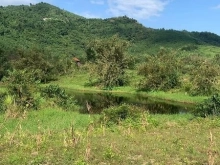 Cần chuyển nhượng nhanh 11ha Ninh Tân, Đất bằng có suối và hồ