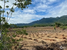 Đất tổng 60.000 m2 có sổ chính chủ ( Tên em)