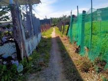 Cần bán đất phường Văn Hải, diện tích 1000m²