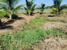 Em cần bán lô đất lúa Đô Vinh 2 xào 7. Mặt tiền 70m, đường ô tô