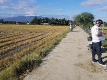 Giá chuyển nhượng nhanh 3000m đất ruộng Thành Hải.