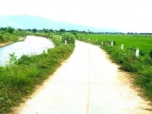 Bán nhanh 453m2 đất lúa thành hải ( ngang 20m dài 24m).