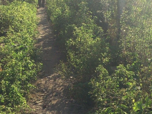 Cần B=bán lô đất sau lưng tỉnh đội...