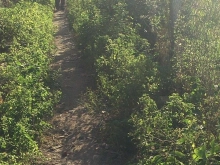 Cần B=bán lô đất sau lưng tỉnh đội...