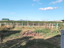 Chính chủ cần bán 300m2 đất trồng lúa thuộc Văn Hải. Được chuyển đổi mục đích.