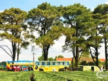 Đất diện tích cực lớn 12x44 giá chỉ 450tr