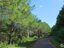 Đất diện tích cực kỳ lớn 12x44m giá chỉ 450tr