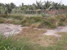 Cần bán 4.7c đất ấp Hòa An-xã Hòa Lộc-Tam Bình-Vĩnh Long: