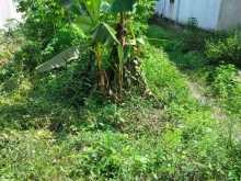 chủ gởi bán miếng đất ruộng xã loan mỹ huyện tam bình vlong