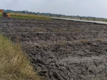 Chủ cần ra nhanh miếnCần bán 10c xã Phú Lộc-Tam Bình-Vĩnh Long