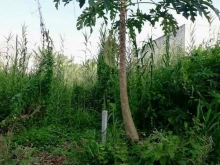 Bán gấp 3 nền mặt tiền đường nhựa, khu dân cư Song Phú. Khu Đô Thị Song Phú, Tam