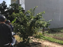 CẦN BÁN NHÀ ĐƯỜNG HOÀNG DIỆU PHỐ TÂY SƠN 1