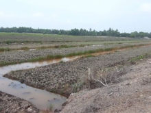 Bán 24000m2 đất khóm tơ xã Thạnh Mỹ, Tân Phước