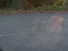 Cần bán đất đường huyện 45B xã Phú Mỹ, huyện Tân Phước, Tiền Giang