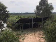 Chủ cần bán 18,000 m2 (1,8 hecta) Ngay tại thị trấn Mỹ Phước, Tân Phước