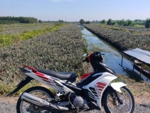 Chính chủ cần bán gấp Đất mặt tiền lộ nhựa Hưng Phú, Hưng Thạnh, Tân Phước