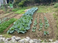 Bán đất Phạm Thuận Duật - Phường Ninh Sơn