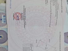 Chính chủ dao bán 4 lô phong đoài 1 phường ninh phong