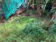 BÁN NỀN ĐẸP  - Phường Tân Ngãi, Tp Vĩnh Long