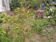 Can ban dat nam ngay mat tien lo. 7×60