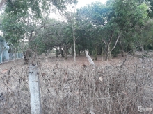 Đất Nguyên Thủy,Chưa Qua Đầu Tư