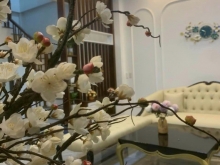 Bán nhà 3 tầng MP phường Bình Hàn, TP HD, 77.1m2, mt 8m, căn góc, KD tốt, gara o