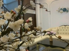 Bán nhà 3 tầng MP phường Bình Hàn, TP HD, 77.1m2, mt 8m, căn góc, KD tốt, gara o