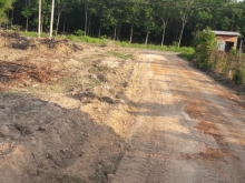 Chủ kẹt tiền cần bán lô đất vườn 1000m2 tại Xã Định An, Dầu Tiếng, Bình Dương