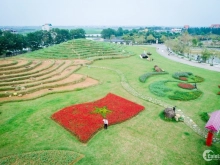 Chính chủ cần chuyển nhượng biệt thự C23 The Phoenix Garden - Đan Phượng