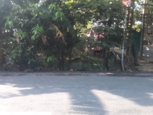 Cần bán lô đất đẹp trền TL 796 ,khóm Phước Thành ,TT Vĩnh Bình