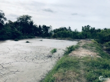 TRÀ VINH Bán 9 tỷ đất thổ 9999m2 mặt tiền quốc lộ 54  rẻ chỉ  800 ngàn m2,