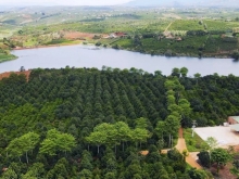 Eden Hills đất nền siêu đẹp tại Đông Thanh Lâm Hà chỉ 3.45 tỷ lô 730m