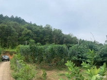 Ô đất lô góc, tựa sơn sát thủy, thích hợp đầu tư nghỉ dưỡng, homestay