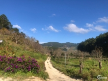 Đất đèo Mimosa Đà Lạt chính chủ sổ sách đầy đủ