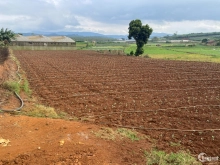 Cần bán lô đất 6000m2 ngay P5 - Tp.Đà Lạt
