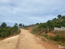 Bán đất ven Đà Lạt – chỉ 1.4ty cho 2.000m2