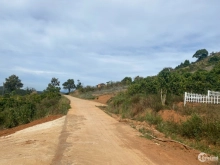 Bán đất ven Đà Lạt – chỉ 1.4ty cho 2.000m2