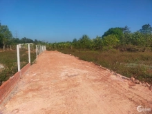 Chủ kẹt tiền cần bán gấp 1447 m2 đất cây đang trồng bưởi sổ hồng riêng giá 1 tỷ