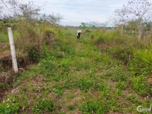 cần tiền gấp bán 389m2 đất , đất đã có sổ hồng riêng