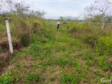 cần tiền gấp bán 389m2 đất , đất đã có sổ hồng riêng