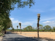 Bán đất Bình Châu 1000m2 view hồ sổ sẵn 1,6tỷ tặng vườn cây ăn trái tưới tự động