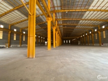 Cho Thuê Xưởng 11000m2 Trong Khu Công Nghiệp tại Thủ Dầu Một, Bình Dương