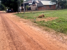 Ngân Hàng phát mãi 5x40 đất tây ninh giá rẻ 360triệu bớt lộc