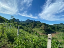 Bán đất xóm Mu, xã Thung Nai, huyện Cao Phong, tỉnh Hòa Bình